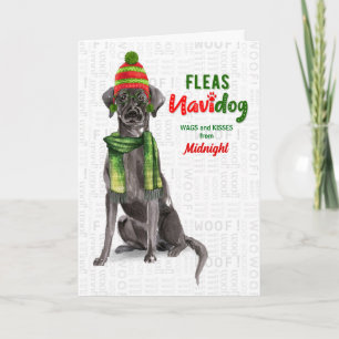 vom Hund Black Lab Fleas Navidog Weihnachten