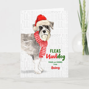 vom Hund Niedlich Schnauzer Weihnachten