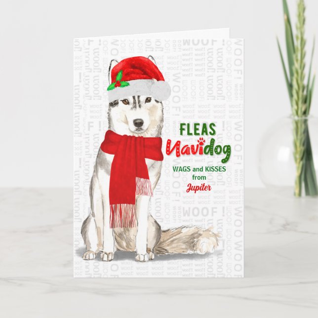 vom Hund Niedliche sibirische Weihnachten (Vorderseite)