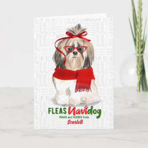 vom Hund Shih Tzu Kurzhaar Weihnachten