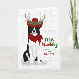 vom Hund Western Border Collie Weihnachten