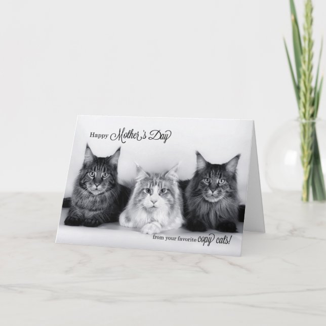 vom Pet Funny Mother Day Three Tabby Cats Dankeskarte (Vorderseite)