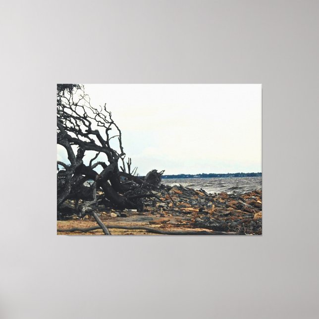 Vom Wind geprägter Baum an einer felsigen Küste Leinwanddruck (Vorderseite)