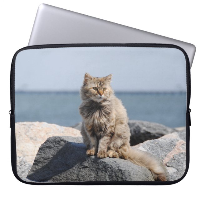 Vom Wind zerzauste Katze am Meer Foto Laptopschutzhülle (Vorderseite)