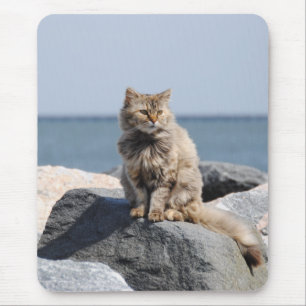 Vom Wind zerzauste Katze am Meer Süßes Foto Mousepad