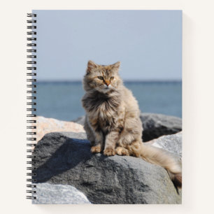 Vom Wind zerzauste Katze am Meer Süßes Foto Notizbuch