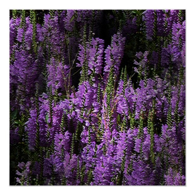 Von Abend bis morgen... Poster (Vorderseite)