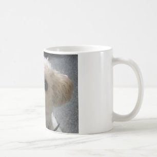 von Bolognese Kaffeetasse