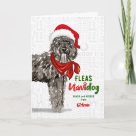 von Bouvier des Flandres Dog Weihnachten