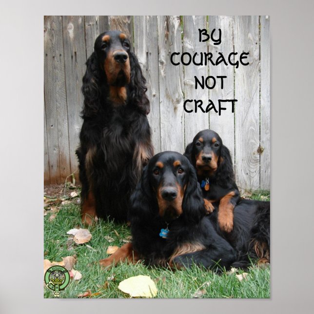 VON COURARAY NOT CRAFT Gordon Setter Poster (Vorne)