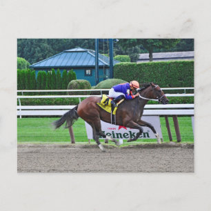 Von Curlin & Harve De Grace Postkarte