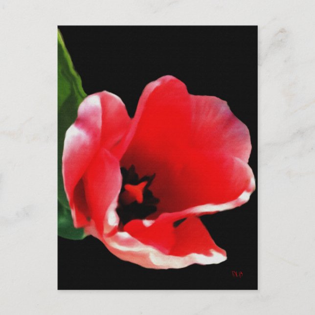 Von den Postkarten des Gartens (Vorderseite)