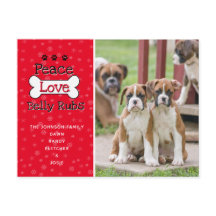 Von den Weihnachtskarten des Hundes