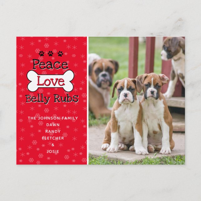 Von den Weihnachtskarten des Hundes Postkarte (Vorderseite)