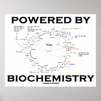 Von der Biochemie angetrieben (Krebs-Zyklus) Poster