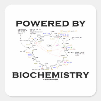 Von der Biochemie angetrieben (Krebs-Zyklus) Quadratischer Aufkleber