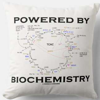 Von der Biochemie beherrscht Krebs Cycle Geek Spaß Kissen