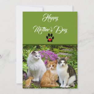 Von der Cat Happy Mother Day Flat Card Einladung