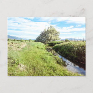 Von der Creek-Postkarte nach unten Postkarte