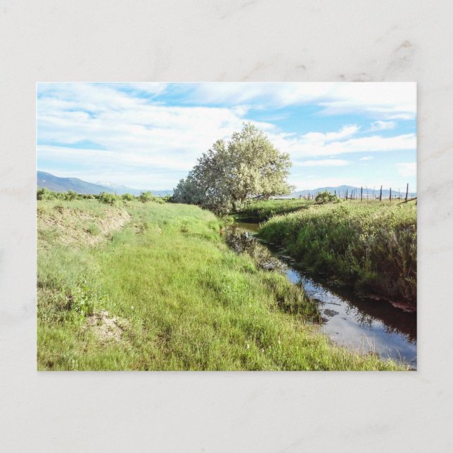 Von der Creek-Postkarte nach unten Postkarte (Vorderseite)