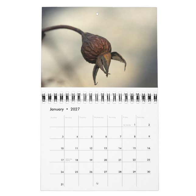 Von der Erde reichlich Kalender (Jan 2027)