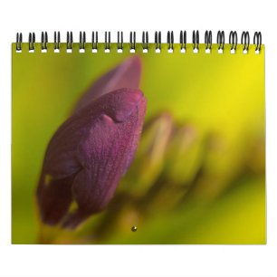 Von der Erde reichlich Kalender