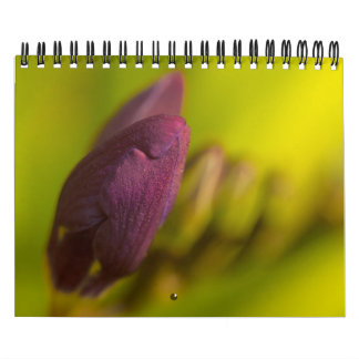 Von der Erde reichlich Kalender