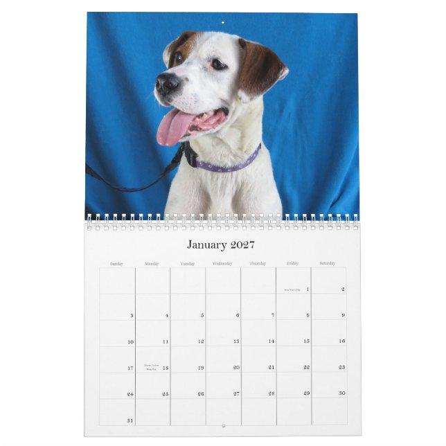 Von der Gefahr für sichere Hände Kalender (Jan 2027)