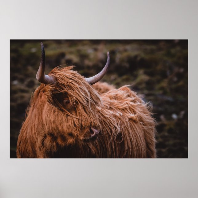 VON DER NATU INSPIRIERT DRAMATISCHE UND MOODISCHE  POSTER (Vorne)