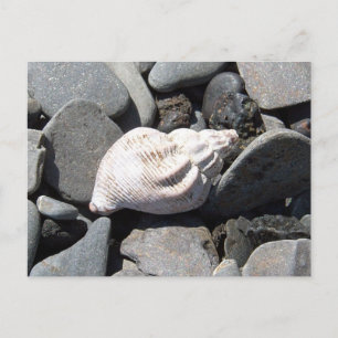 Von der Postkarte am Meer