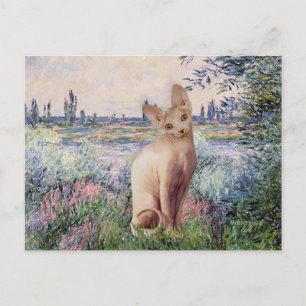 Von der Seine - Creme Sphynx Katze Postkarte