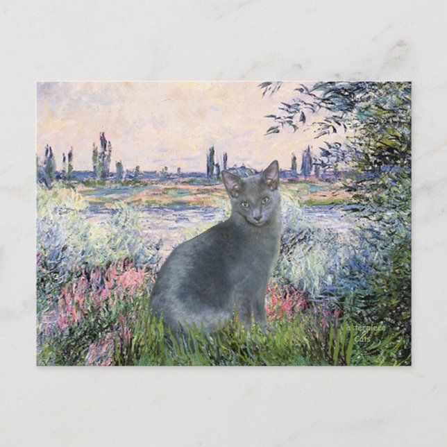 Von der Seine- Russische Blaue Katze 2 Postkarte (Vorderseite)