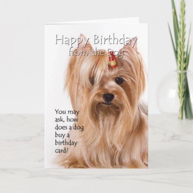 Von der Yorkie Karte (Vorderseite)