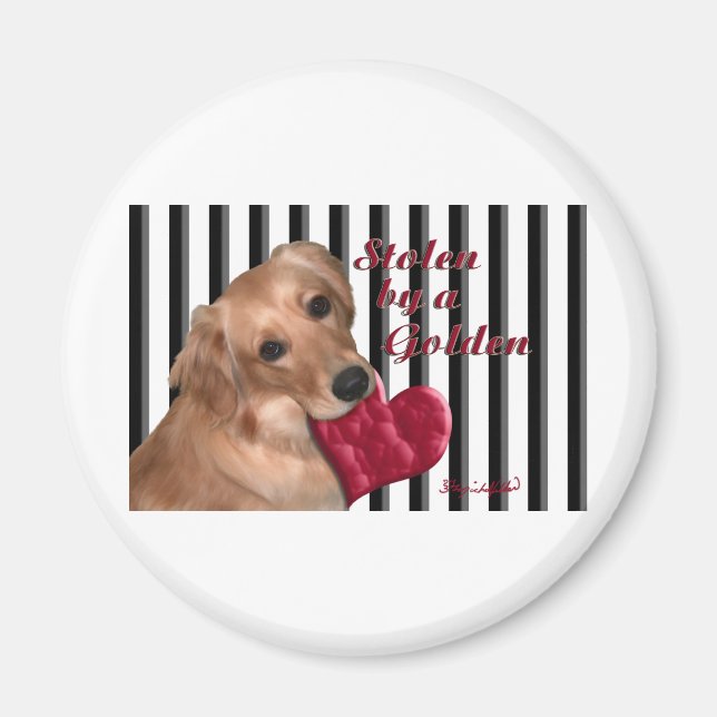 Von einem Golden Magnet (Vorne)