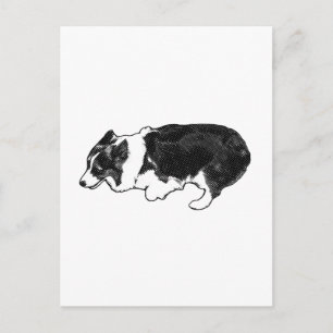 Von einem Hirten zum anderen Postkarte