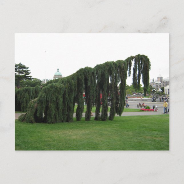 Von einem Horror-Film abzulehnen? Postkarte (Vorderseite)