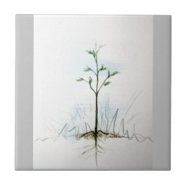 Von einem kleinen Samen. . . . Fliese