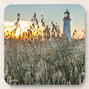 von einem Scheinwerfer in Feldern Getränkeuntersetzer