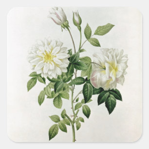 Von Eustache Hyacinthe eingravierte Aime Vibere Quadratischer Aufkleber