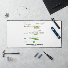 Von Gen zu Protein Molekularbiologie Schreibtischunterlage