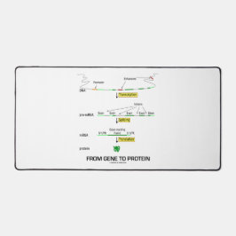 Von Gen zu Protein Molekularbiologie Schreibtischunterlage