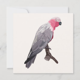 Von Hand zeichnend rosa Papagei, tropischer Vogel. Einladung