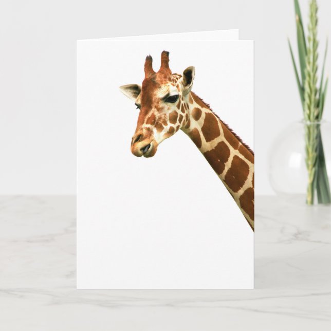 Von hohem hier karte (Vorderseite)