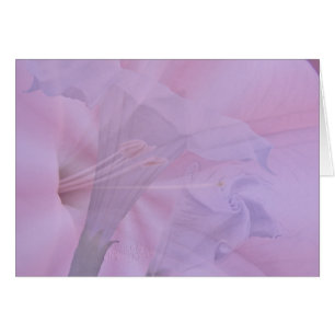 Von Knospe zu Blüte