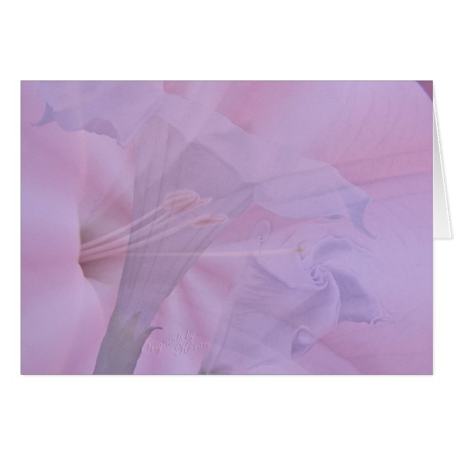 Von Knospe zu Blüte (Vorderseite (Horizontal))
