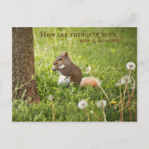 Von meinem Nacken des Waldes zu deiner Postkarte