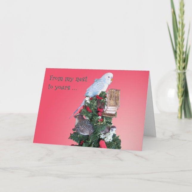 Von meinem Nest Feiertagskarte (Vorderseite)