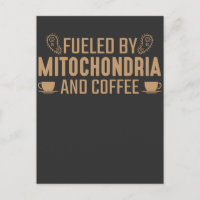 Von Mitochondrien und Kaffeeliebhabern angeheizte