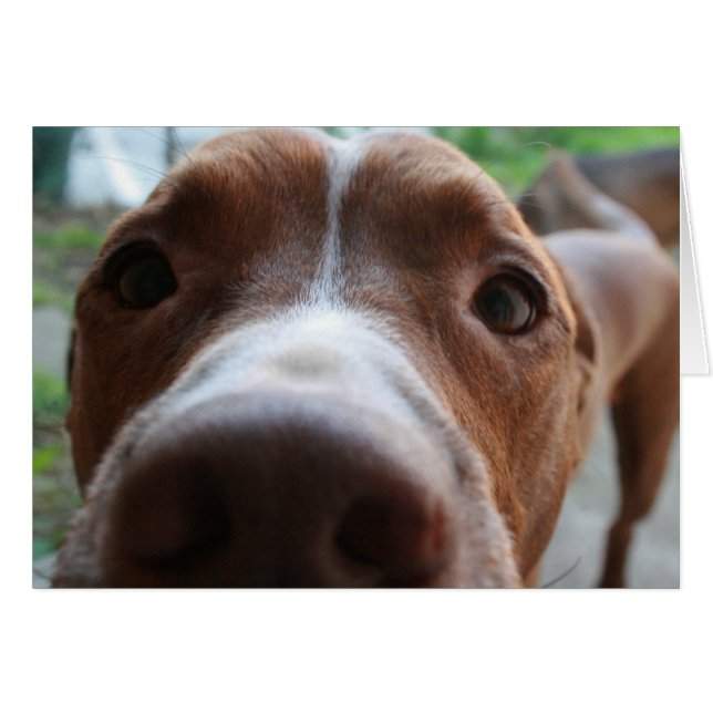 Von Nahem (Vorderseite (Horizontal))