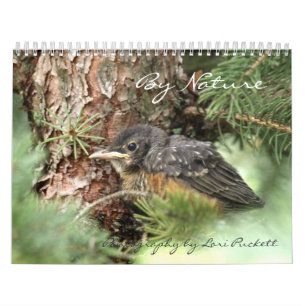 Von Natur aus Fotografie-Kalender 2013 Kalender